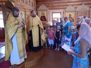 Князя Владимира 14 016